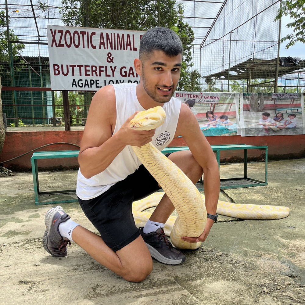 Me dealing with a complex Python problem